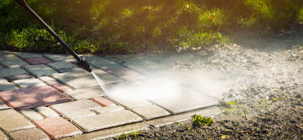 Best Driveway Pressure Washing  in Vernonia, OR